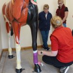 RSDP Equine First Aid